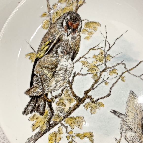 Vintage Kaiser W Germany Fine Porcelain Nature Bird Plate Stieglitre Goldfinch - Picture 2 of 7